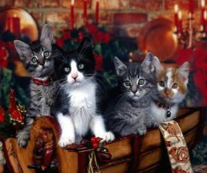 Puzzle Χαριτωμένα γατάκια την ημέρα των Χριστουγέννων